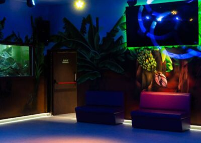 Disco Banana - Finca Las Vegas